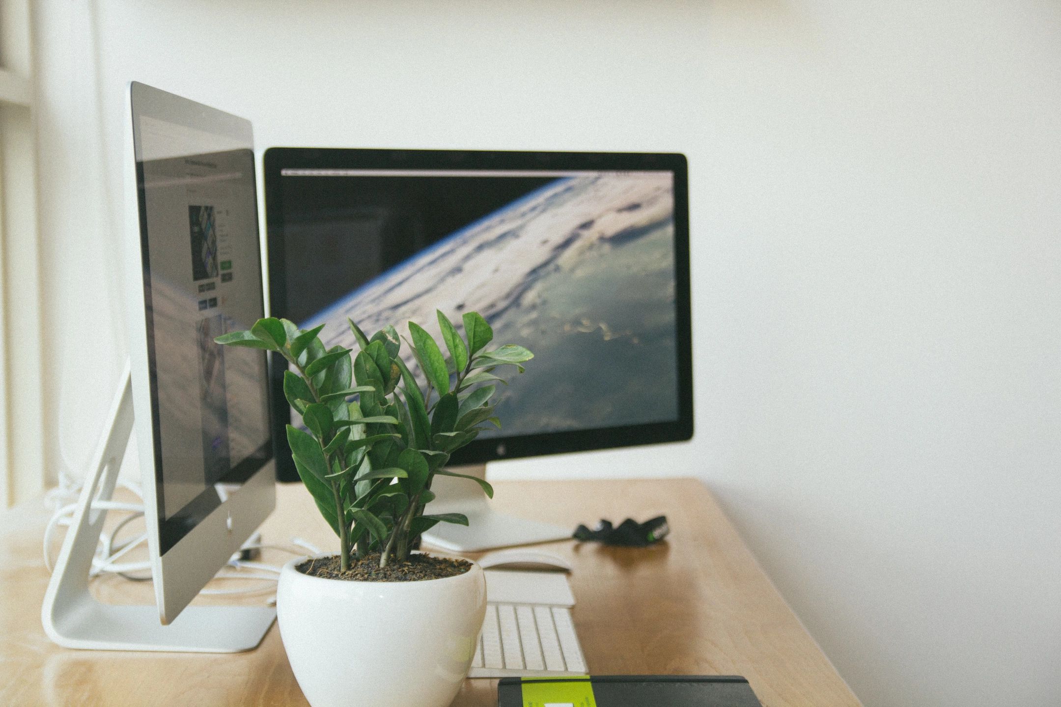 Web development